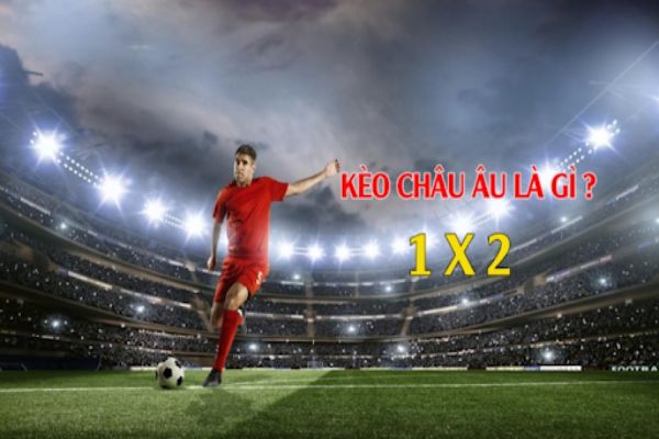 Hiểu kèo 1x2 là gì để đưa ra lựa chọn chính xác